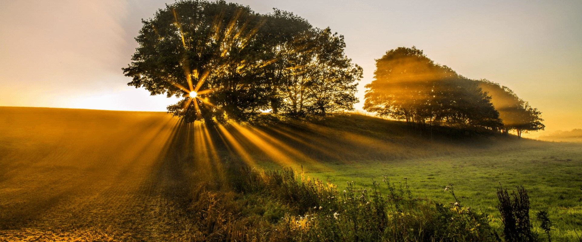 Capturing Natural Light in Landscape Photography